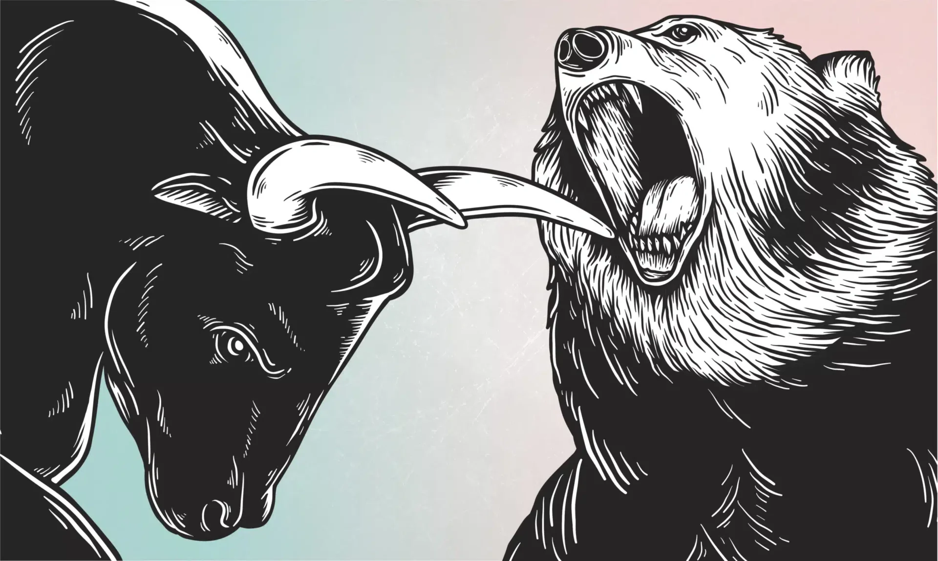bull bear market