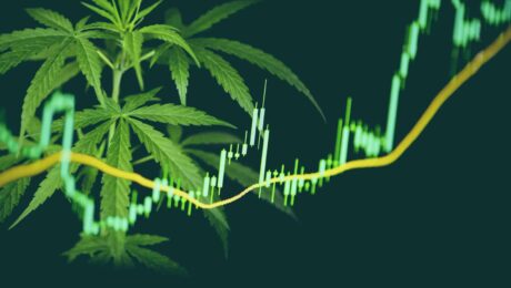 Azioni Marijuana: i migliori titoli su cui investire oggi